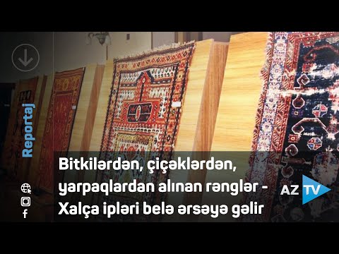 Bitkilərdən, çiçəklərdən, yarpaqlardan alınan rənglər – Xalça ipləri belə ərsəyə gəlir – REPORTAJ