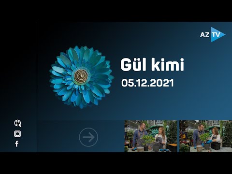 Gül kimi  05.12.2021